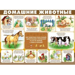 Плакат "Домашние животные" (пластик 2мм)