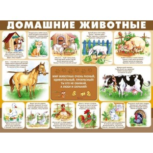 Плакат "Домашние животные" (пластик 2мм)