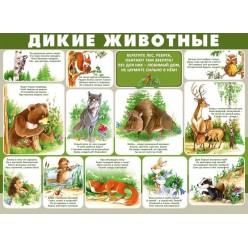 Плакат "Дикие животные" (пластик 2мм)