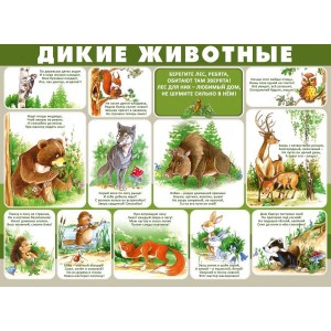 Плакат "Дикие животные" (пластик 2мм)