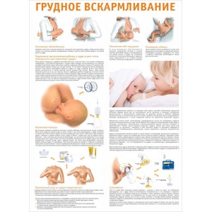 Широкоформатная печать баннеров в Магнитогорск| Срочно и недорого