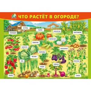 Широкоформатная печать баннеров в Магнитогорск| Срочно и недорого