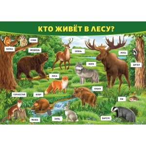 Плакат "Кто живет в лесу" (пластик 2мм)