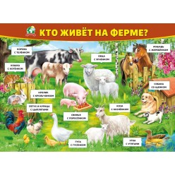 Плакат "Кто живет на ферме" (пластик 2мм)