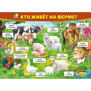 Плакат "Кто живет на ферме" (пластик 2мм)