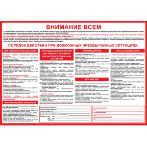 Плакат "Порядок действий при возможных ЧС"